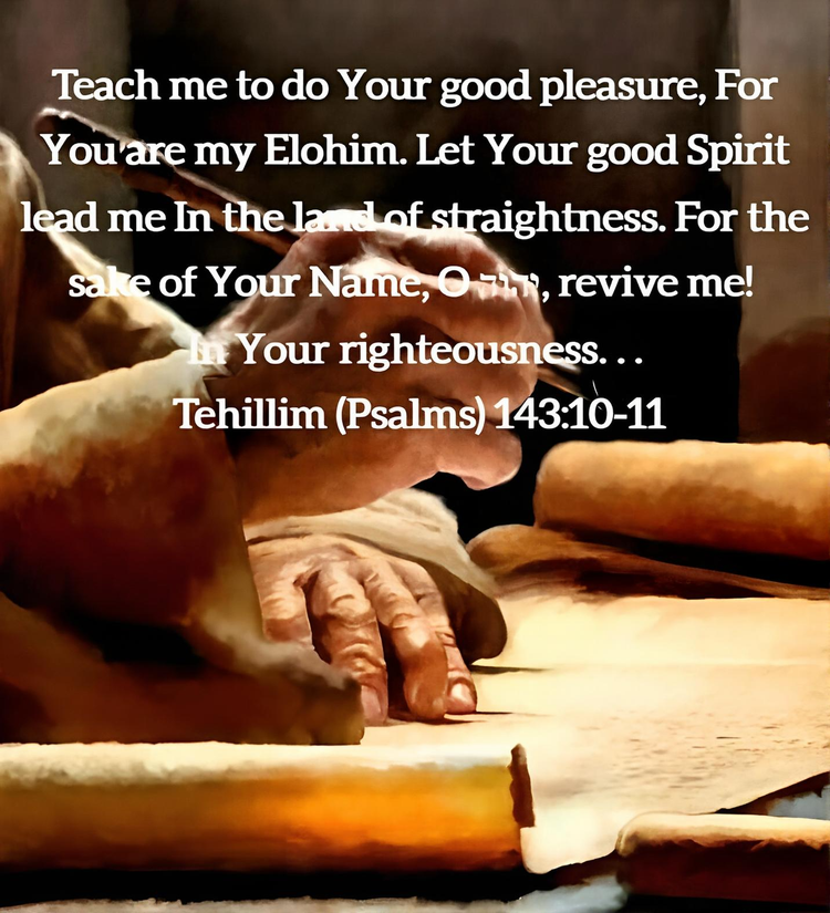 Hated by Y’hovah: A TORAH-True Examination of Abomination